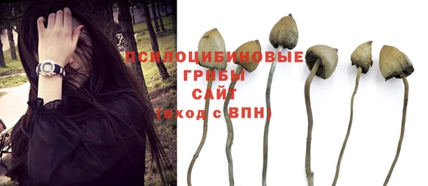 ГАЛЛЮЦИНОГЕННЫЕ ГРИБЫ Алексеевка