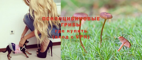 МДПВ Алзамай