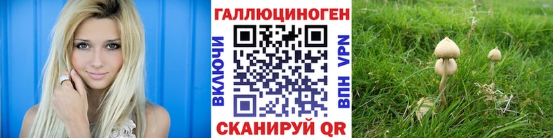 Псилоцибиновые грибы мицелий  Черемхово 